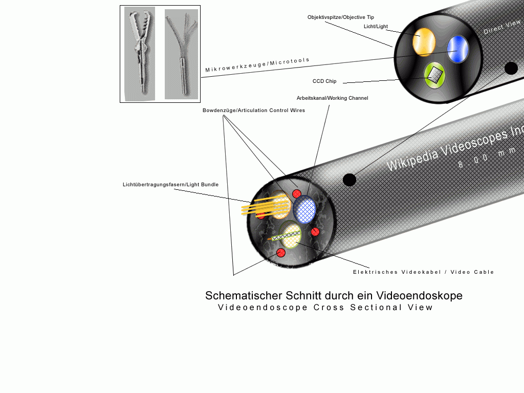 Endoskop budowa inspekcja